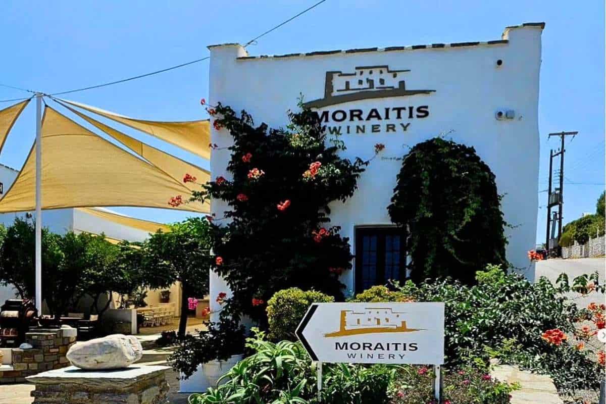 Best Paros Wineries: Tasting Rooms That Surprised Us (2026) in Greece