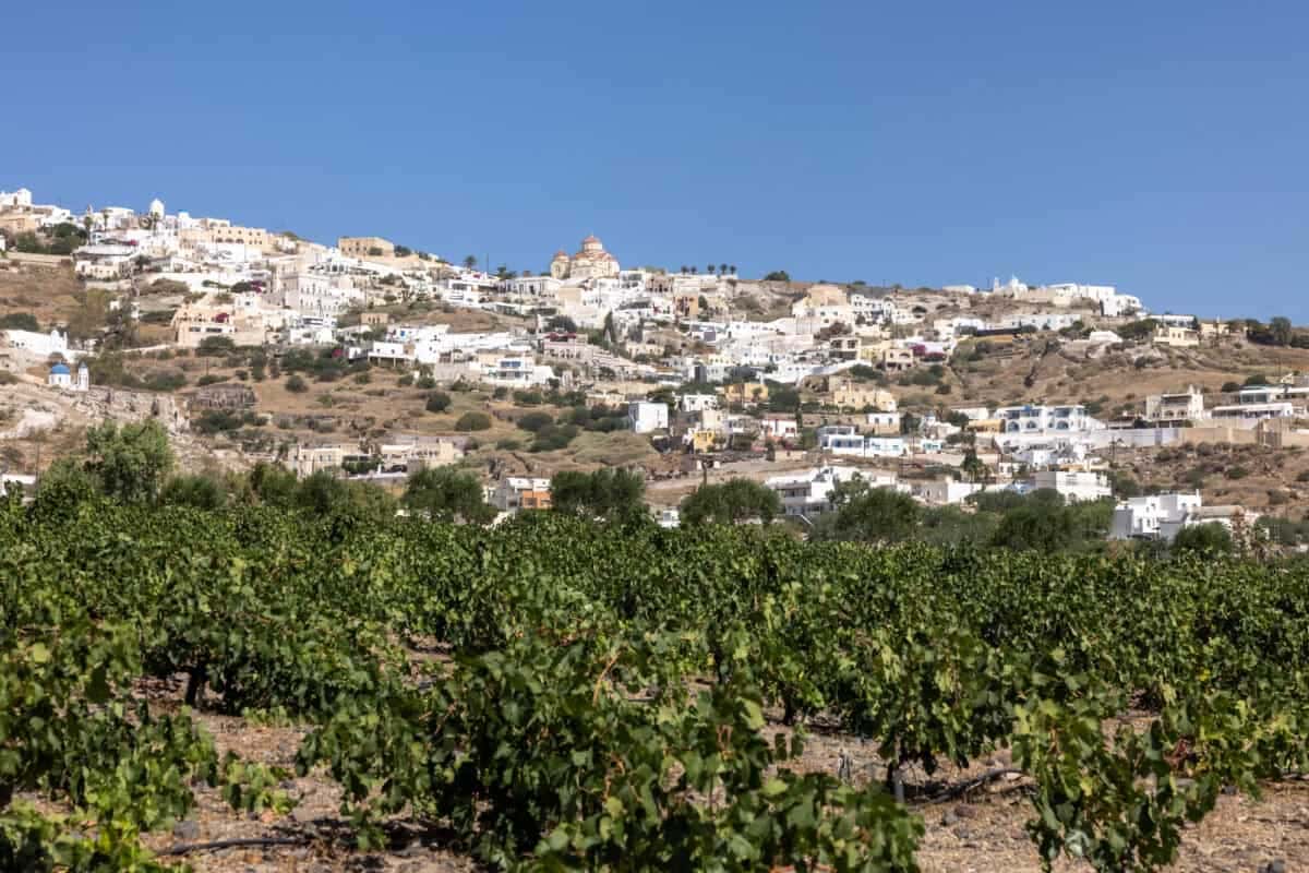 16 Best Santorini Wineries and Wine Tours to Book (2026)