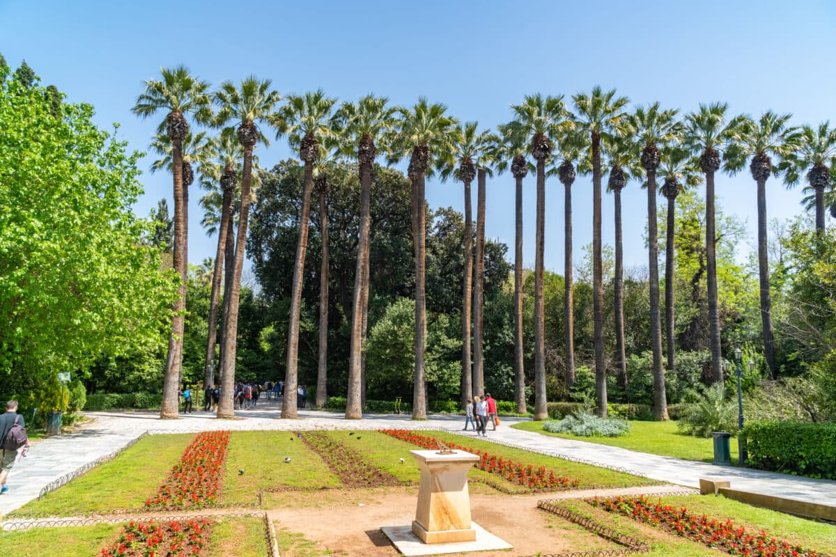 Sunlight filters through tall palm trees in Athens National Gardens during summer.